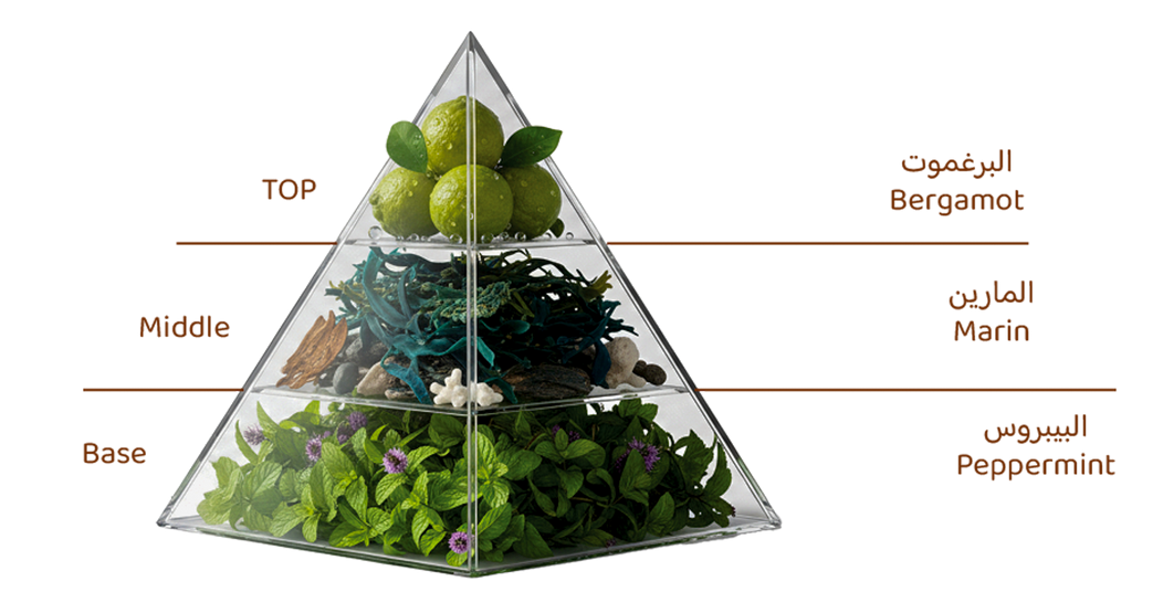 Ramz : Arabian Oud 100ml