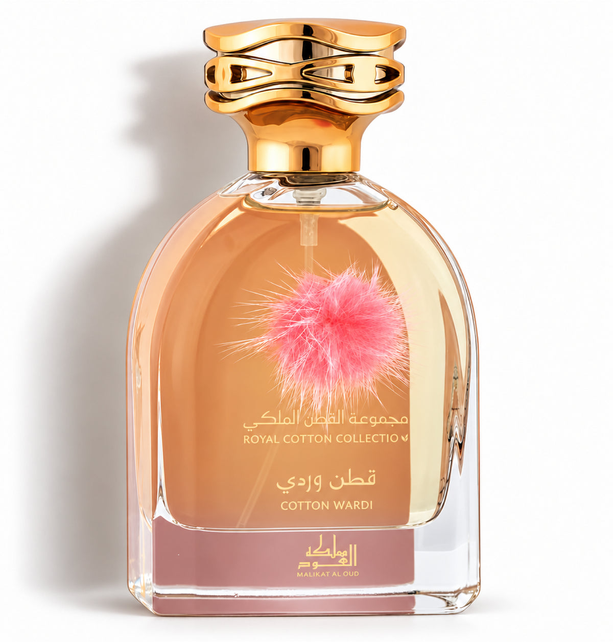 Cotton Wardi – Mamlakat Al Oud – flacon sur fond blanc avec ombre douce