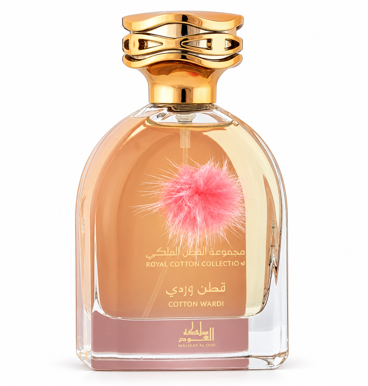 Cotton Wardi – Mamlakat Al Oud