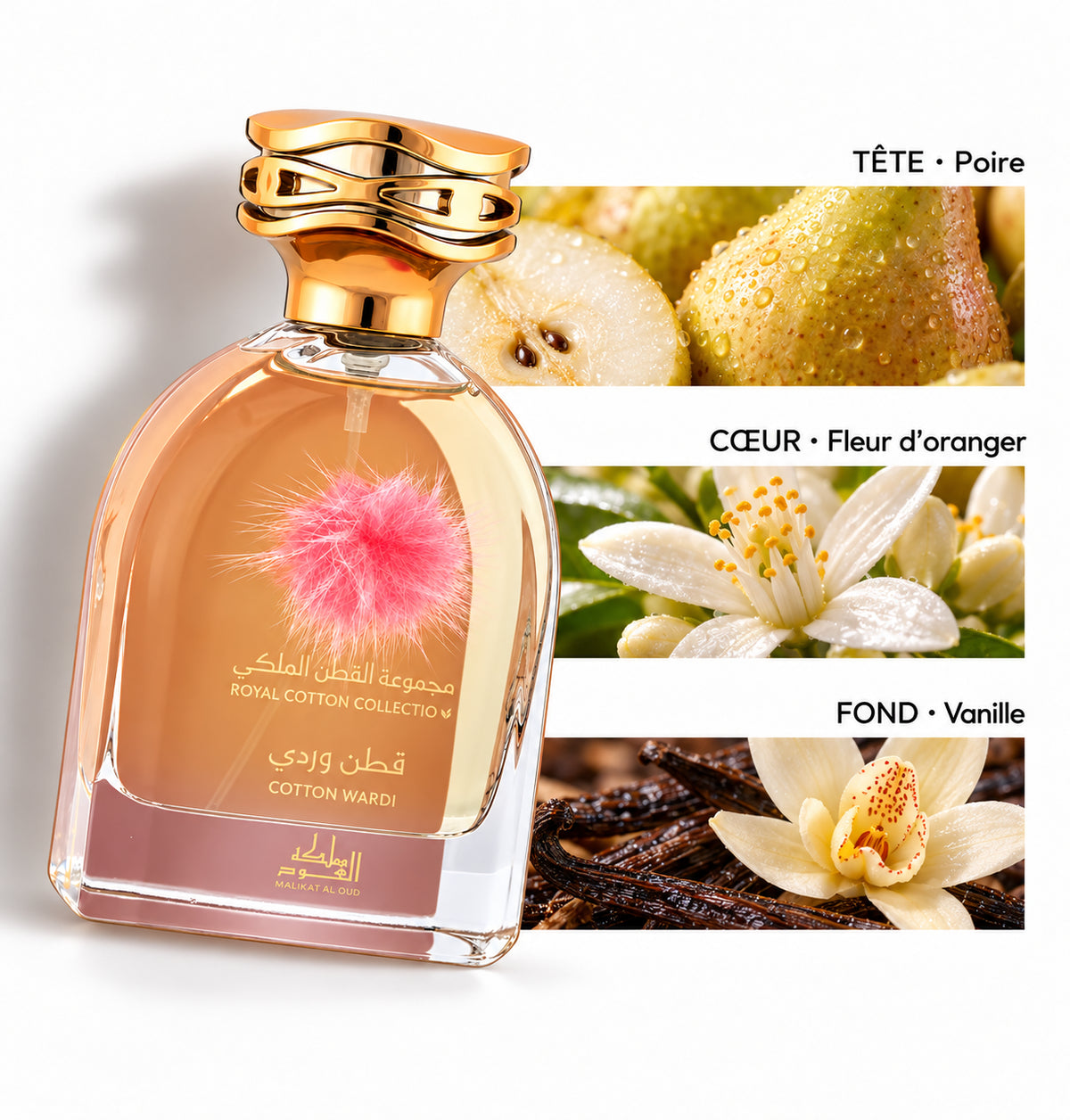 Cotton Wardi – Mamlakat Al Oud — Flacon entier et bandes de notes