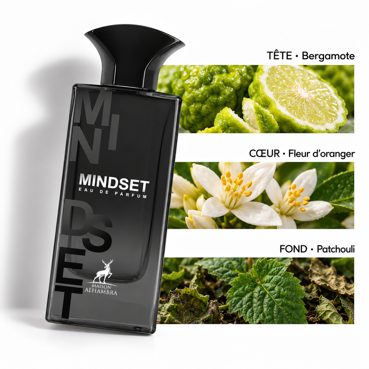 Mindset — notes principales : tête bergamote, cœur fleur d’oranger, fond patchouli.