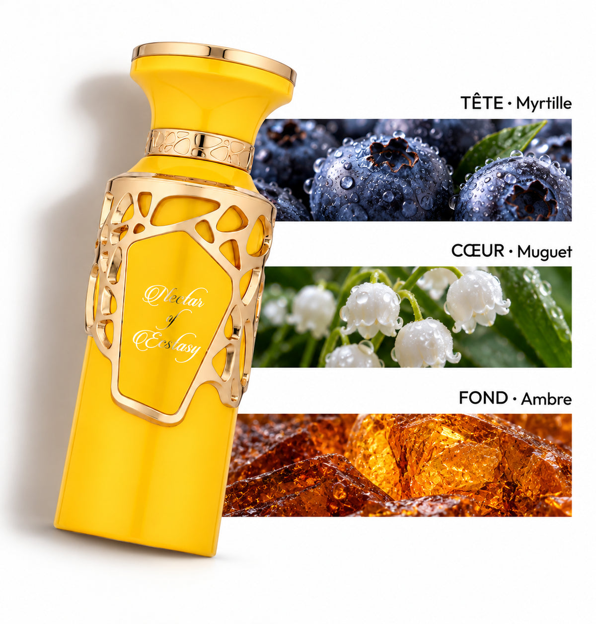 Nectar of Ecstasy – Fragrance World — Flacon entier et bandes de notes