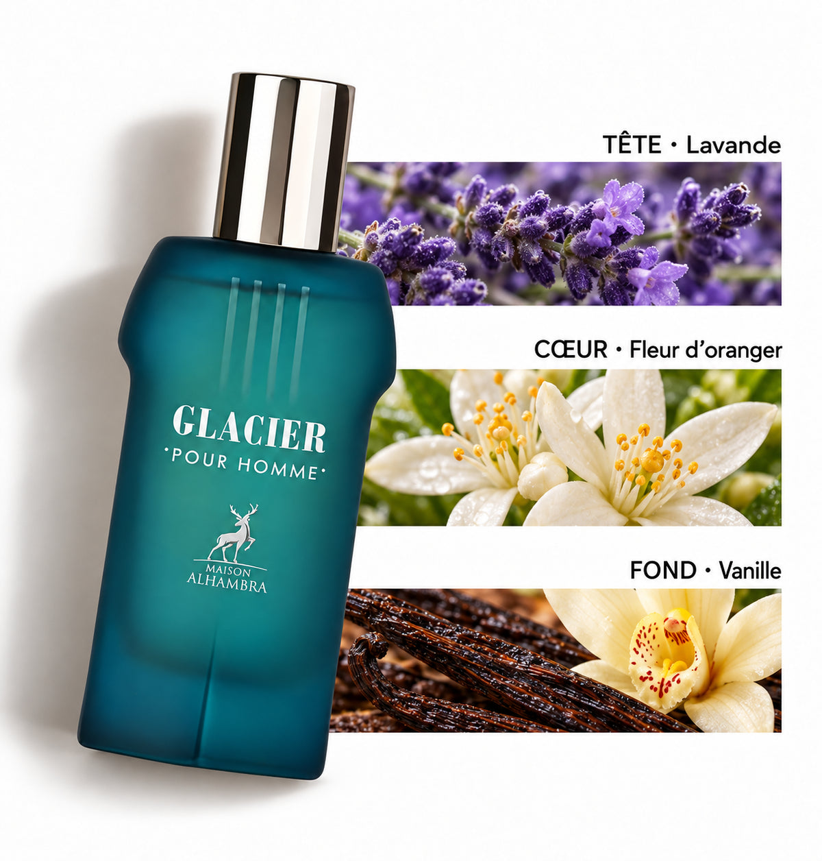 Glacier pour Homme – Maison Alhambra — Flacon entier et bandes de notes