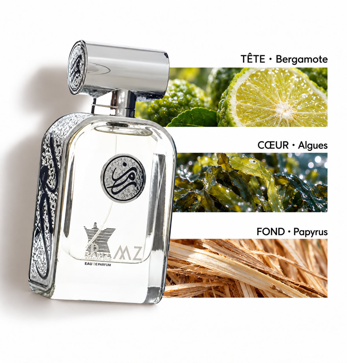 Ramz – Arabian Oud (100 ml) — Flacon entier et bandes de notes