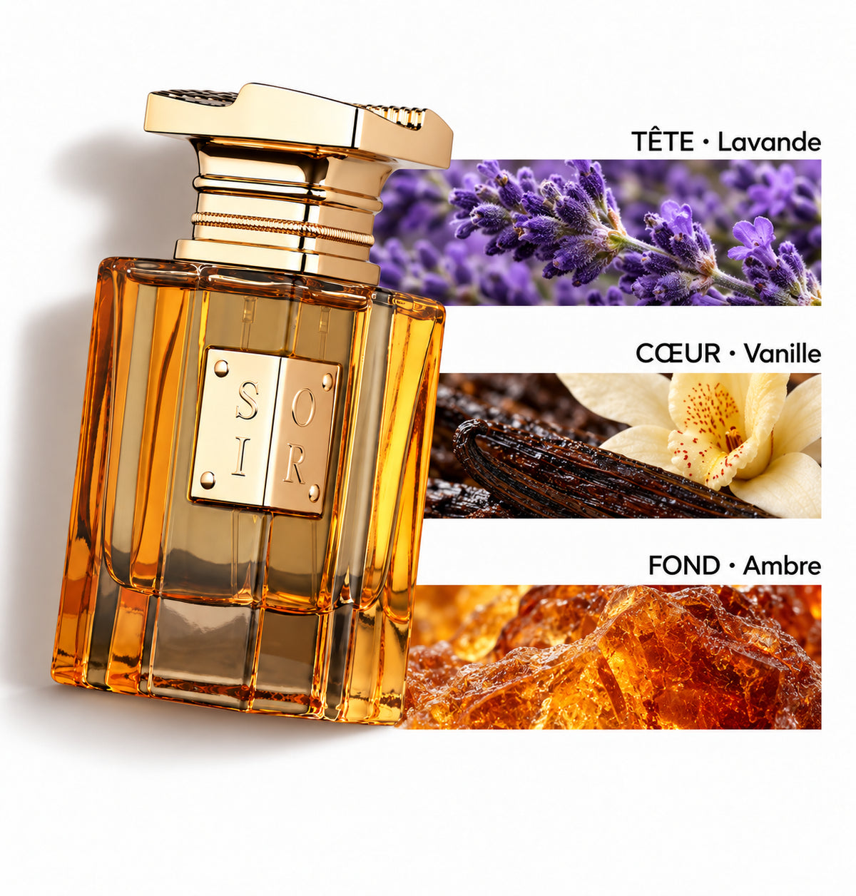 Soir – Fragrance World — Flacon entier et bandes de notes