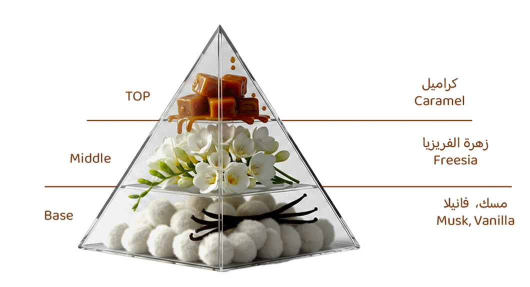 Solid : Arabian Oud 75ml